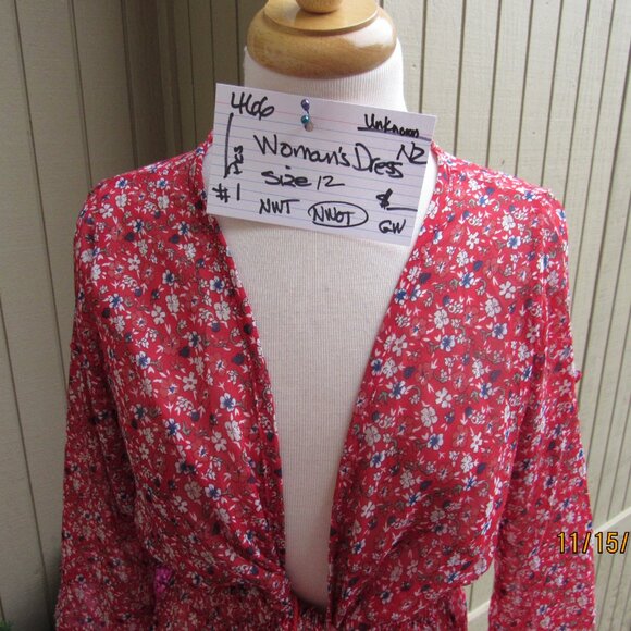 #466  NEW WOMAN'S SHEER COVER DRESS BY UNKNOWN  (SIZE 12) - Picture 3 of 4